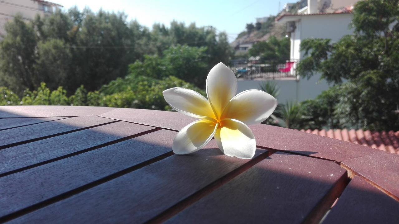 Plumeria Flowery Айос-Кирикос Экстерьер фото